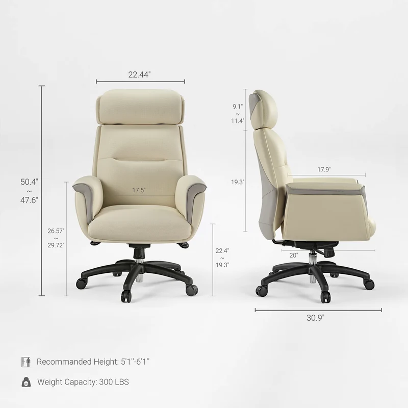 Executive Office Set: Ark Standing Desk & Luxury Executive Chair
