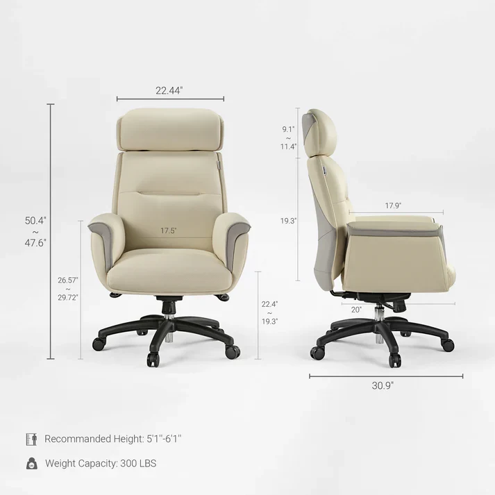 Executive Office Set: Ark Standing Desk & Premium Executive Chair