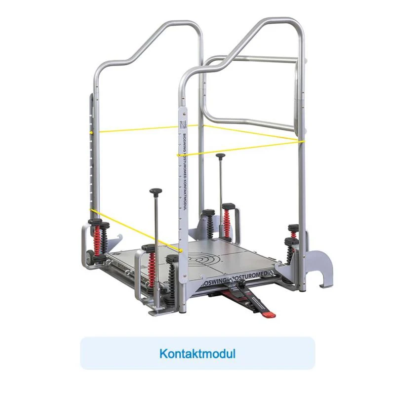 Bioswing Posturomed 202