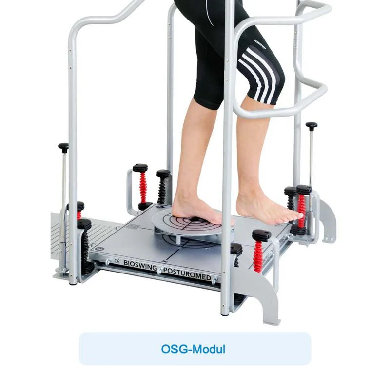 Bioswing Posturomed 202