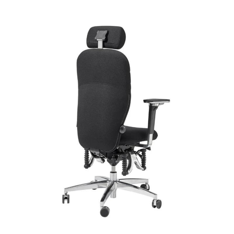 Bioswing 460 IQ Bestseller / / Hausstuhl