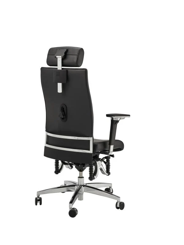 Bioswing 660 IQ Bestseller Stoff //Hausstuhl
