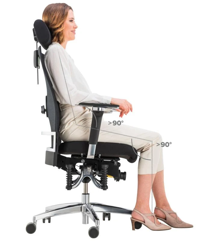 Bioswing 660 IQ Bestseller Stoff //Hausstuhl