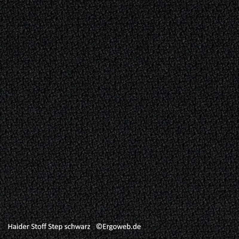Bioswing 660 IQ Bestseller Stoff //Hausstuhl