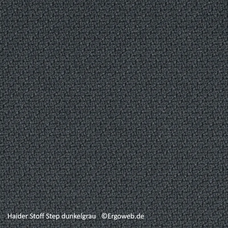 Bioswing 660 IQ Bestseller Stoff //Hausstuhl