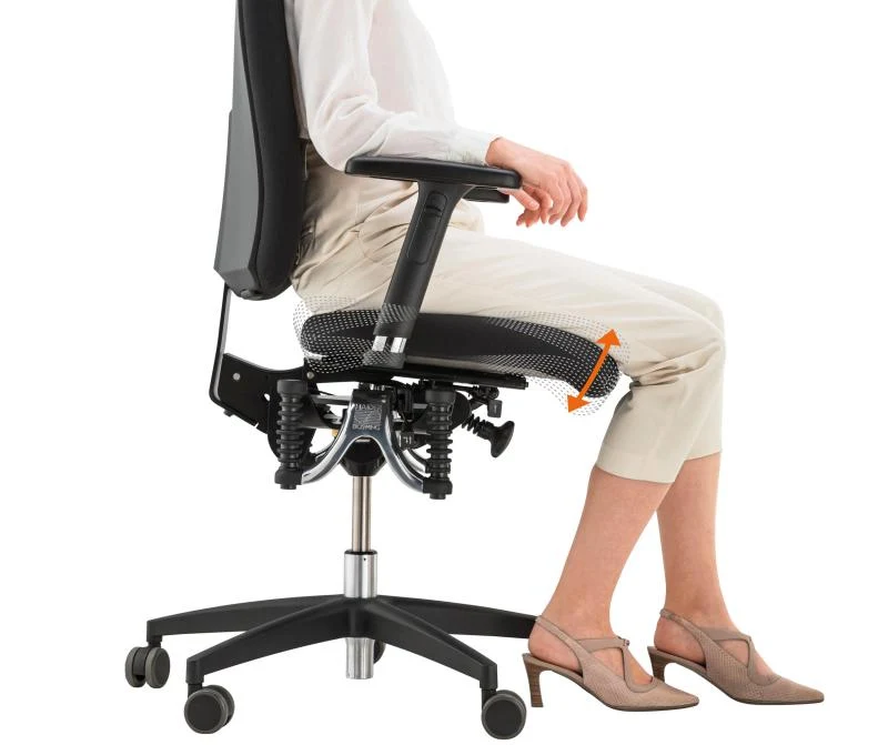 Bioswing 260 IQ Bestseller