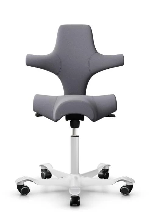 Sattelstuhl HAG Capisco 8106 (Bestseller)