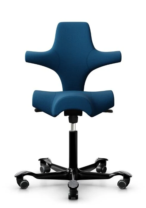 Sattelstuhl HAG Capisco 8106 (Bestseller)