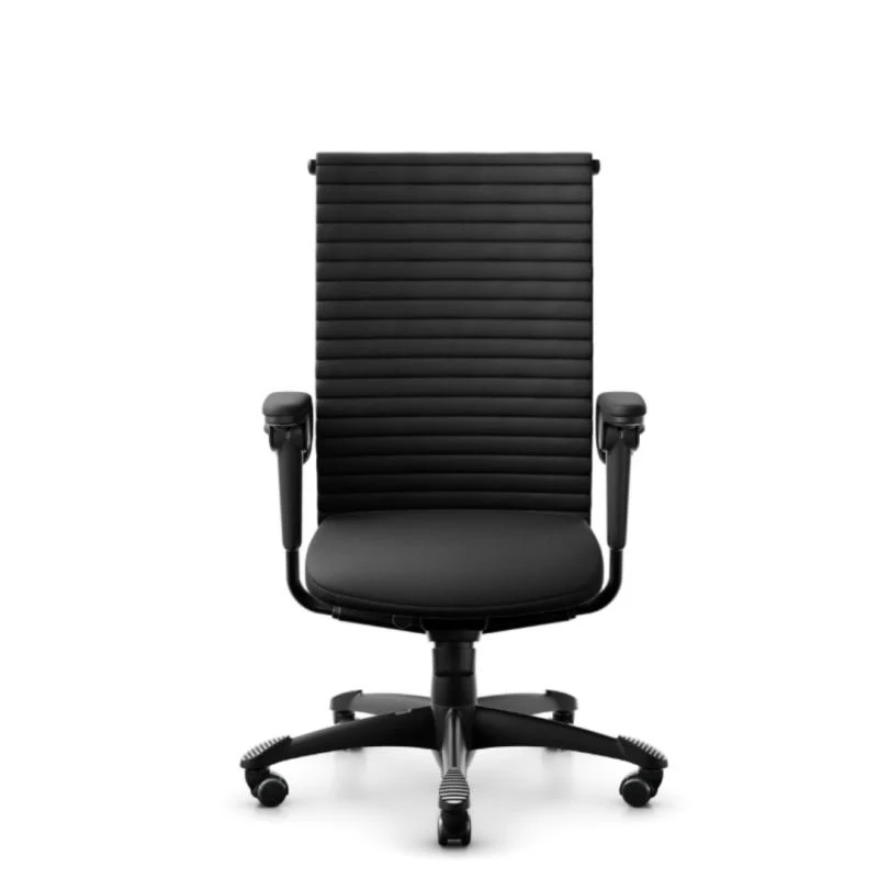 HAG H09 Excellence Mittlere Rückenlehne