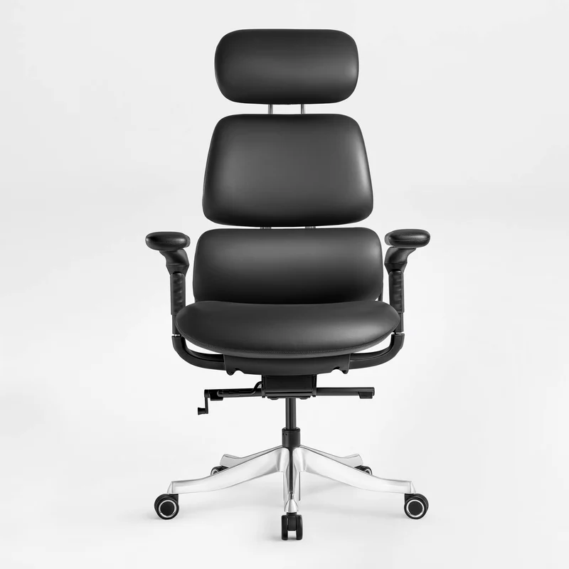 Forma, Ergonomic Executive Office Chair
