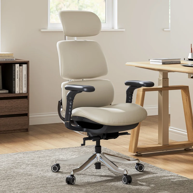 Forma, Ergonomic Executive Office Chair