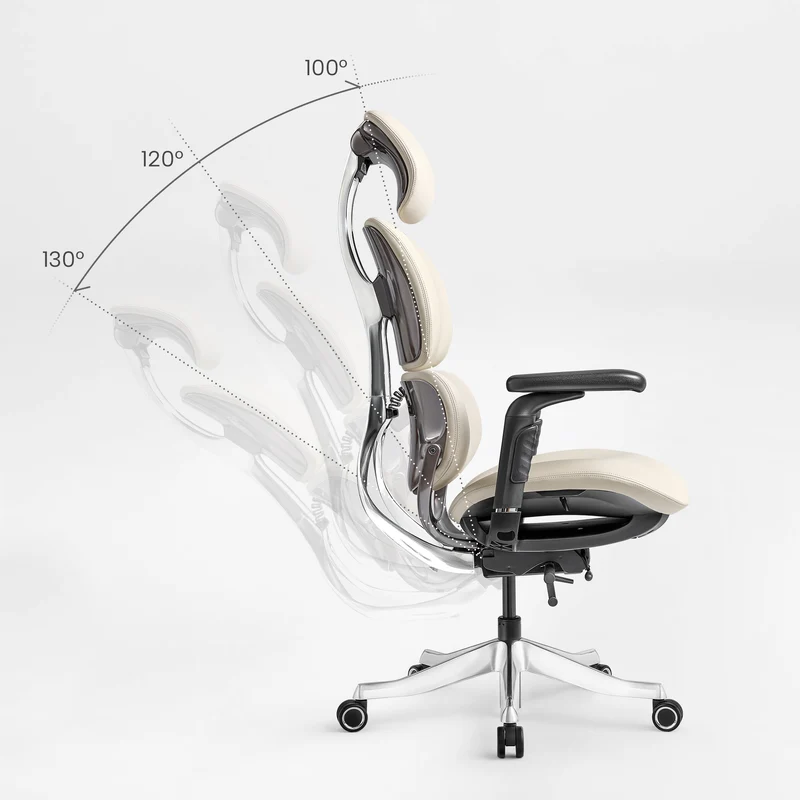 Forma, Ergonomic Executive Office Chair