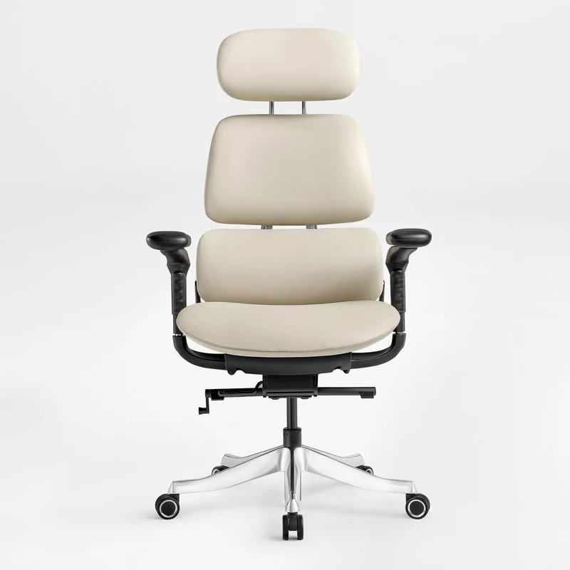 Forma, Ergonomic Executive Office Chair