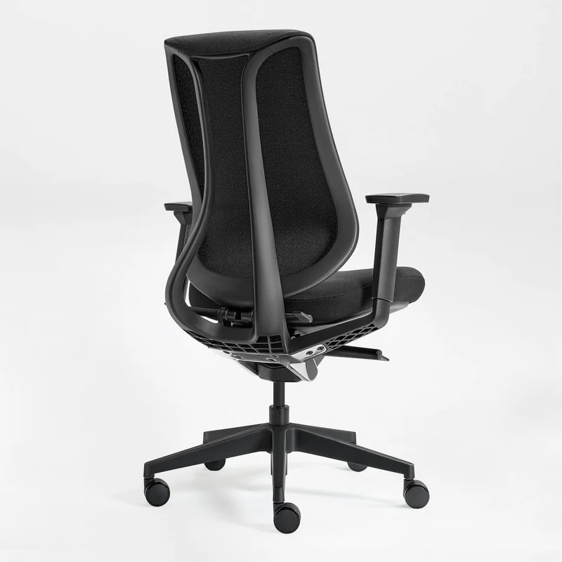 Lira, Ergonomic Office Chair