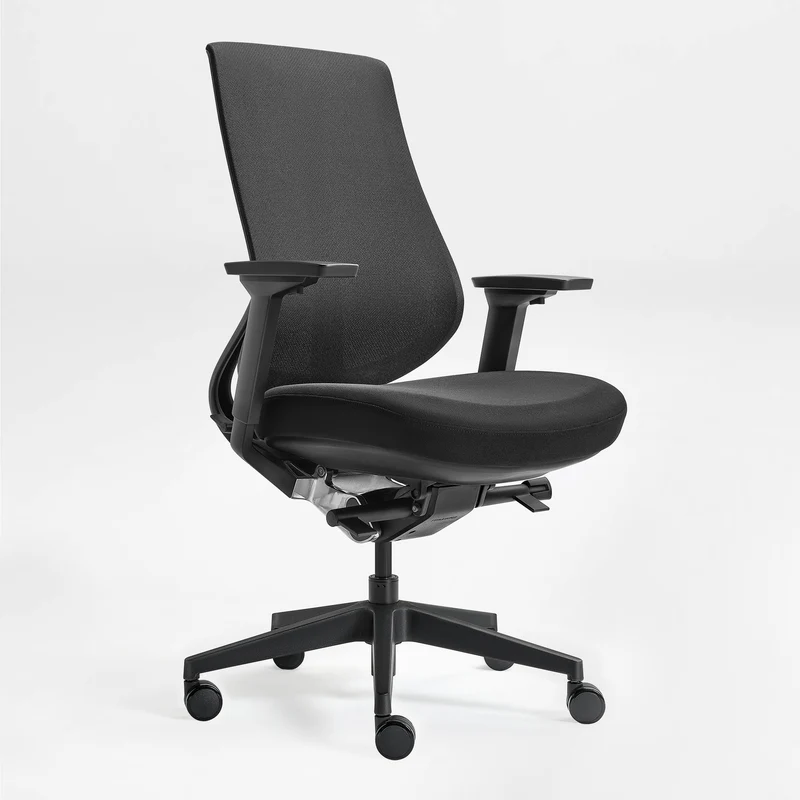 Lira, Ergonomic Office Chair