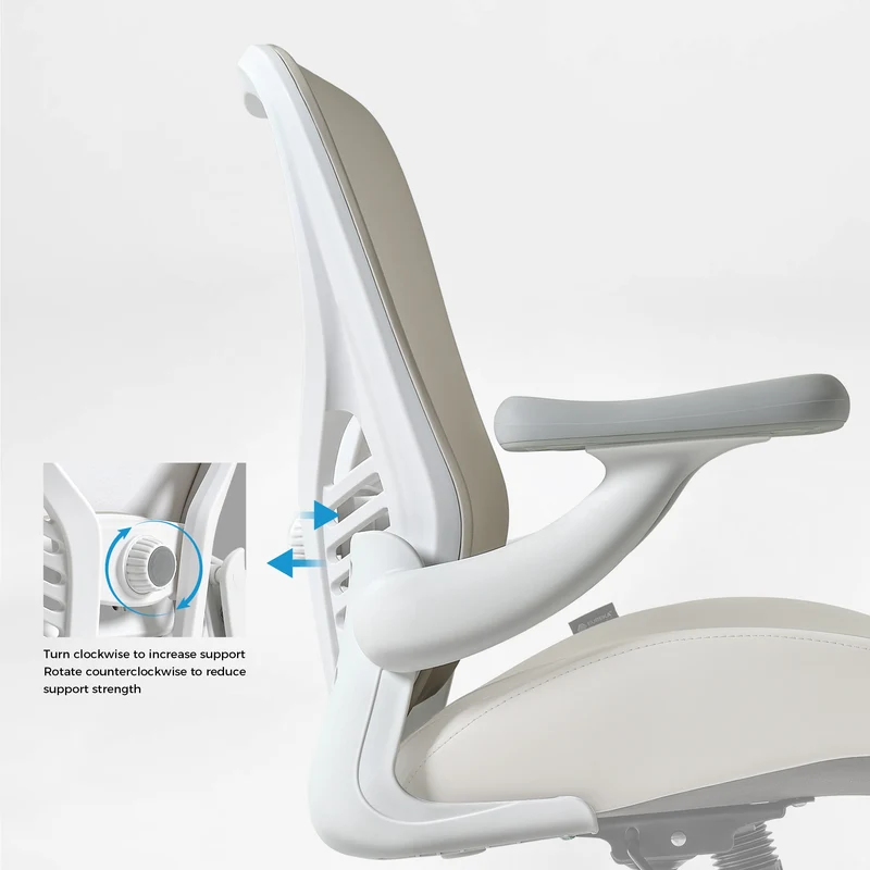 Vera, Ergonomic Office Chair