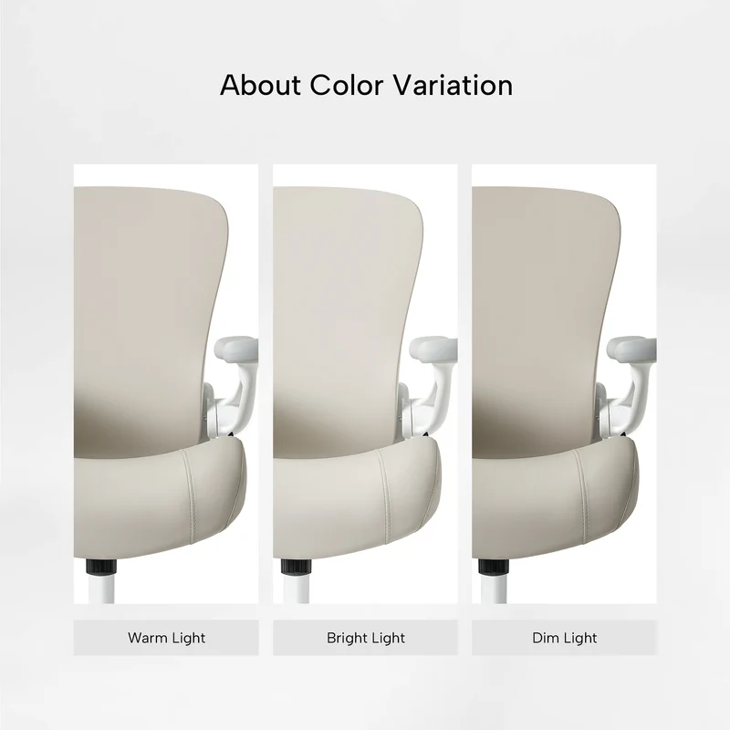 Vera, Ergonomic Office Chair