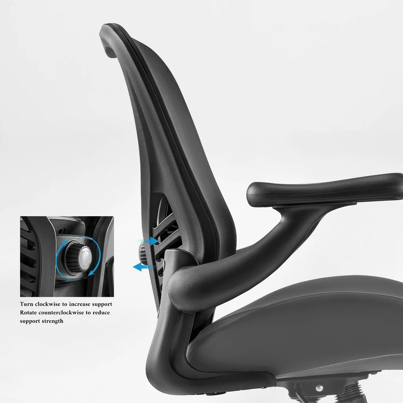 Vera, Ergonomic Office Chair