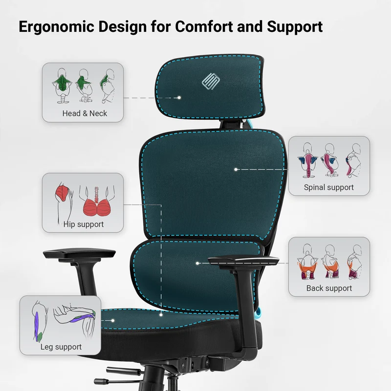 Axion, Ergonomic Hybrid Chair