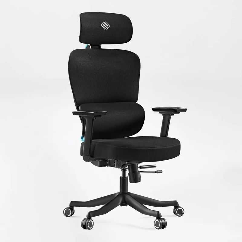 Axion, Ergonomic Hybrid Chair