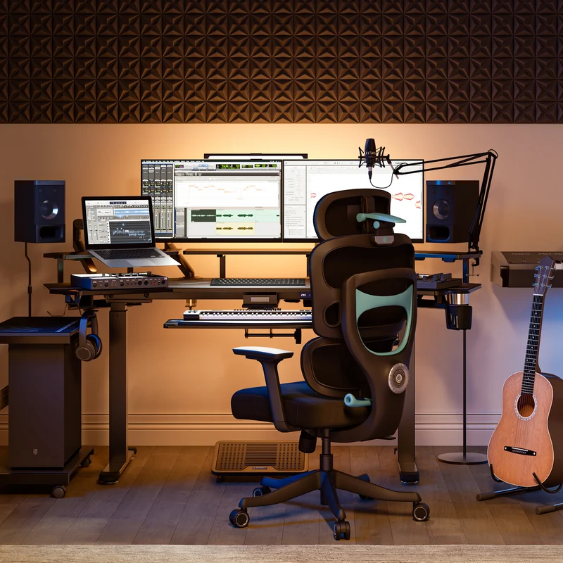 Axion, Ergonomic Hybrid Chair