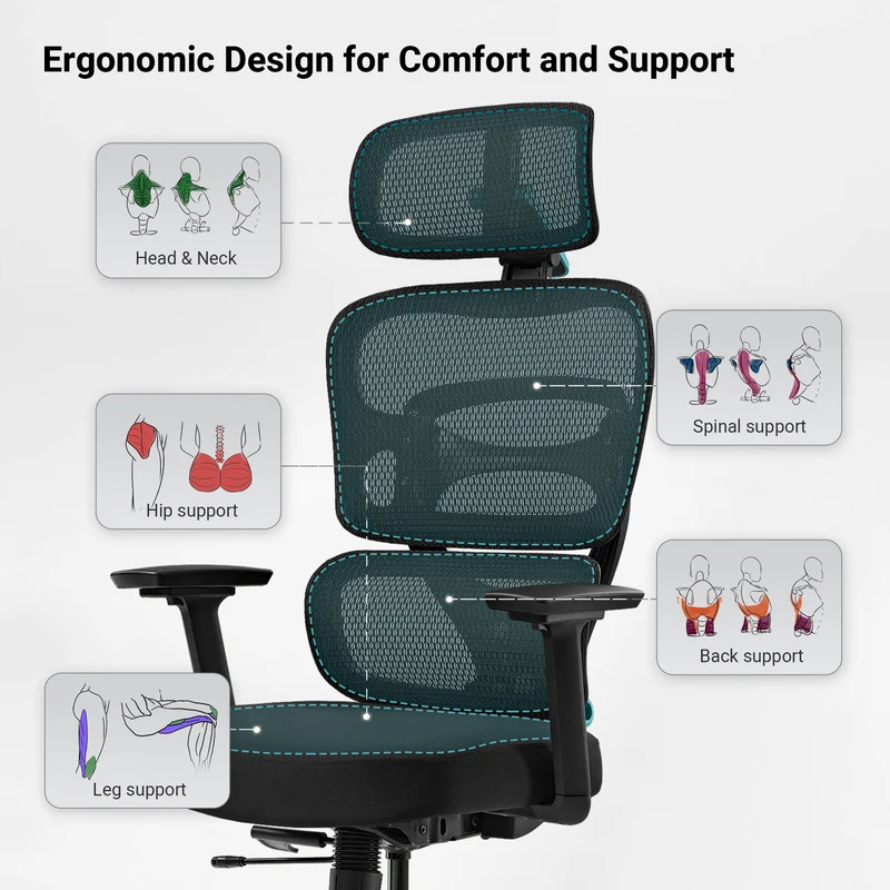 Axion, Ergonomic Hybrid Chair