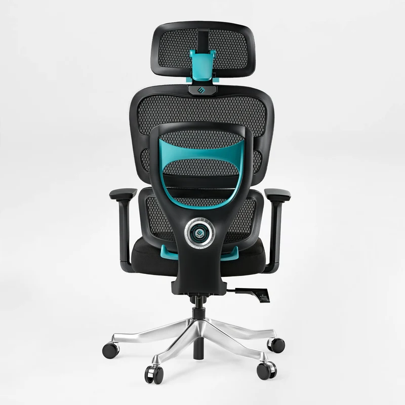 Axion, Ergonomic Hybrid Chair