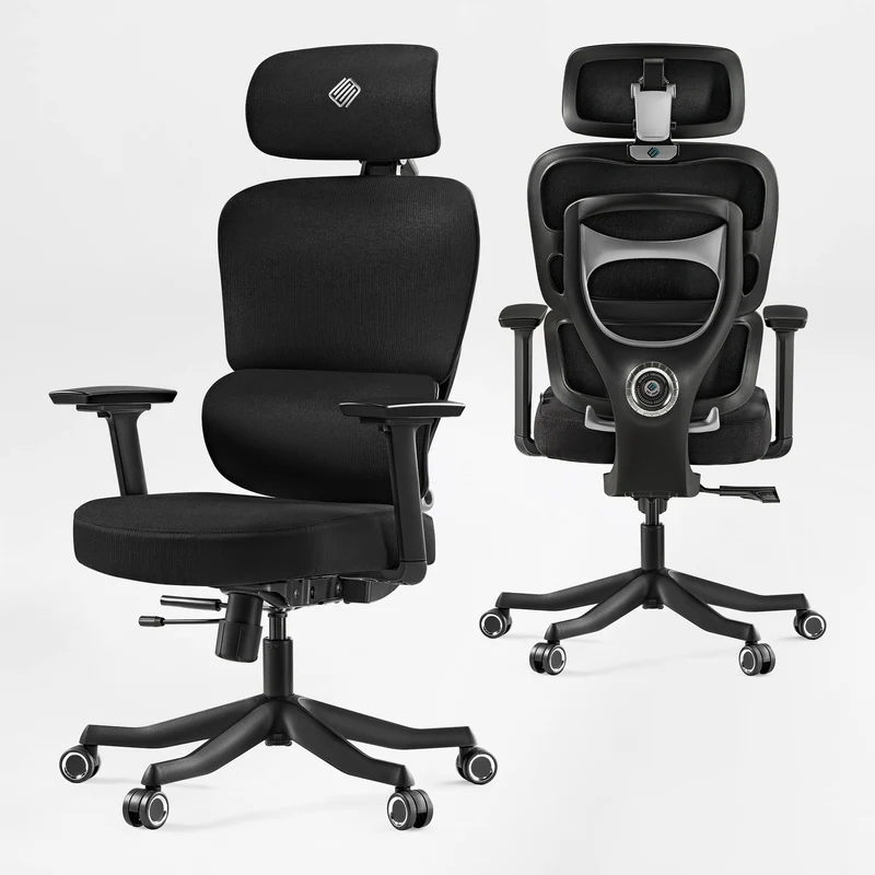 Axion, Ergonomic Hybrid Chair