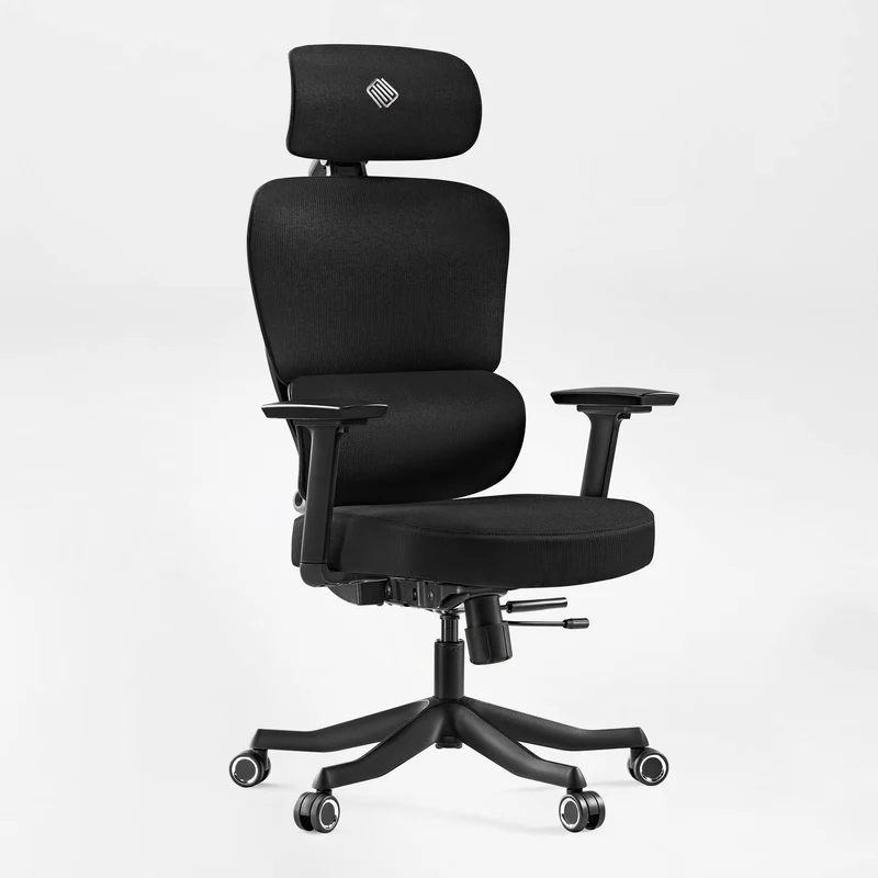 Axion, Ergonomic Hybrid Chair