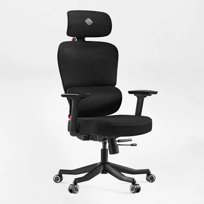 Axion, Ergonomic Hybrid Chair