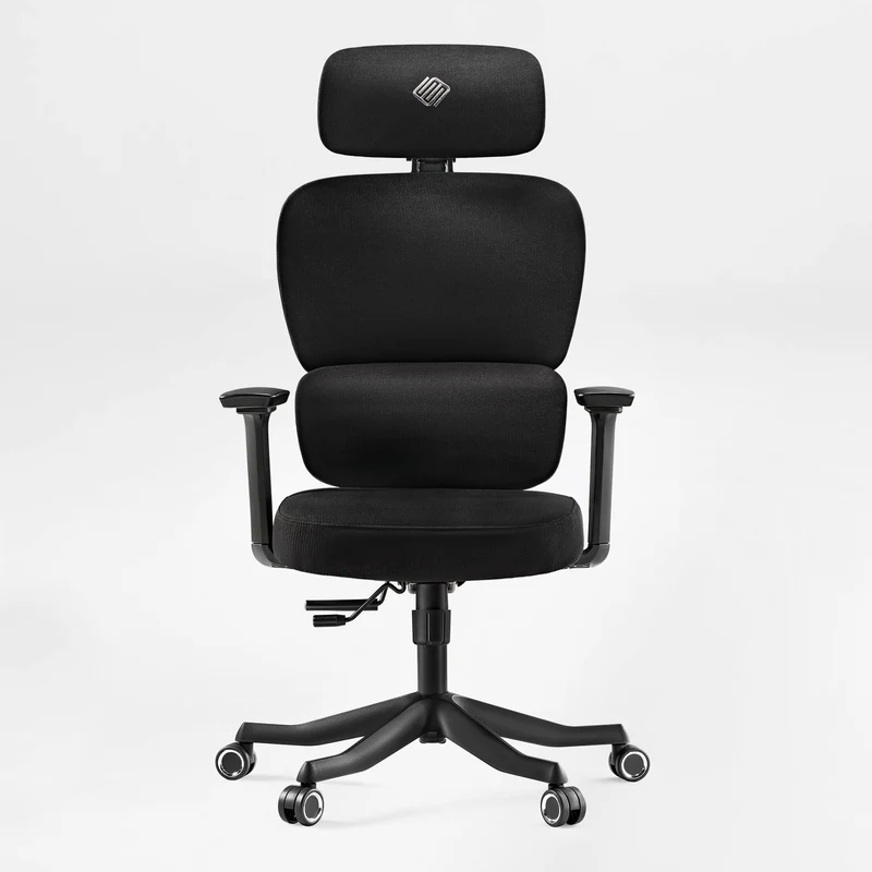 Axion, Ergonomic Hybrid Chair