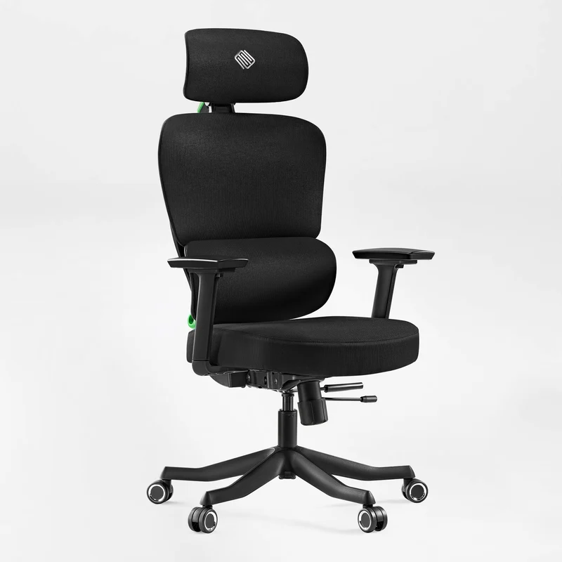 Axion, Ergonomic Hybrid Chair