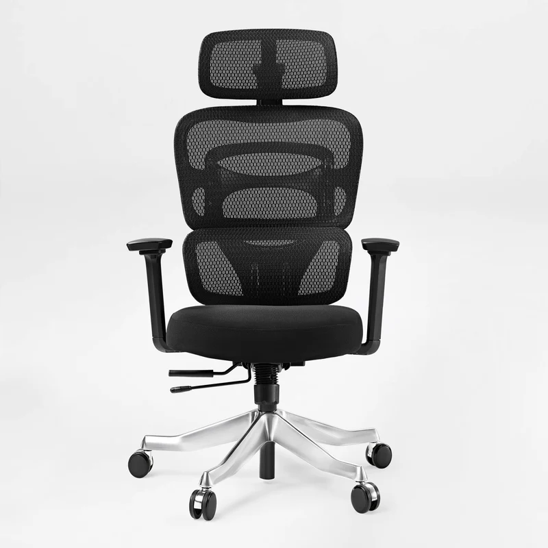 Axion, Ergonomic Hybrid Chair