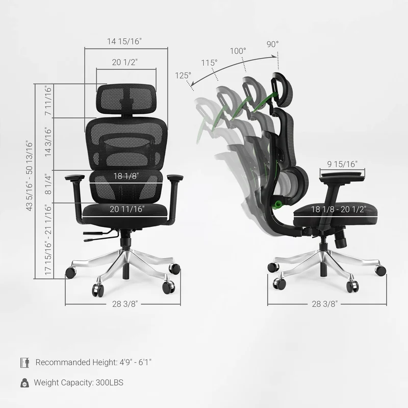 Axion, Ergonomic Hybrid Chair