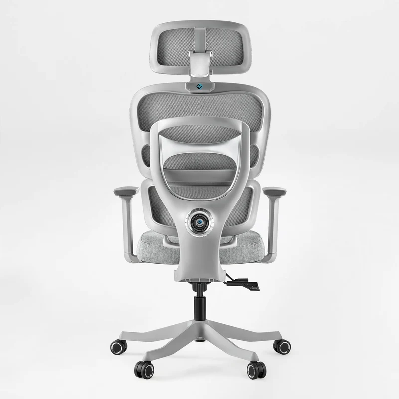 Axion, Ergonomic Hybrid Chair