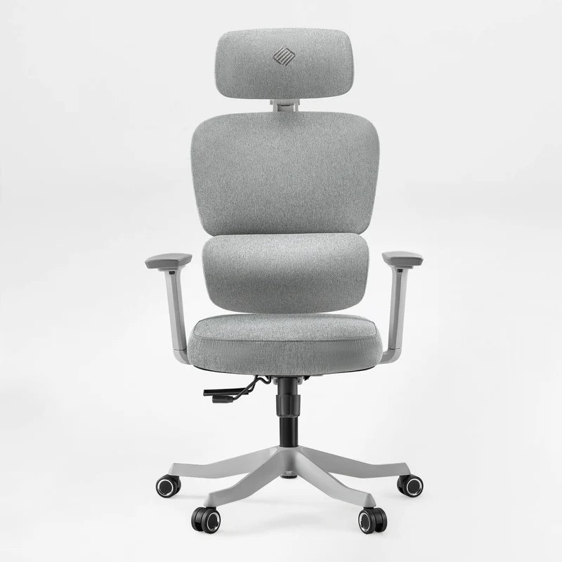 Axion, Ergonomic Hybrid Chair