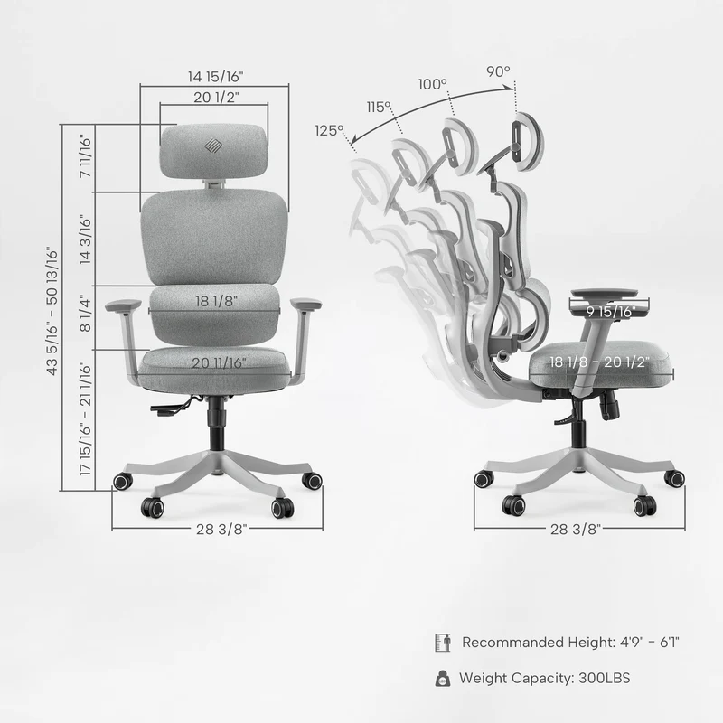 Axion, Ergonomic Hybrid Chair