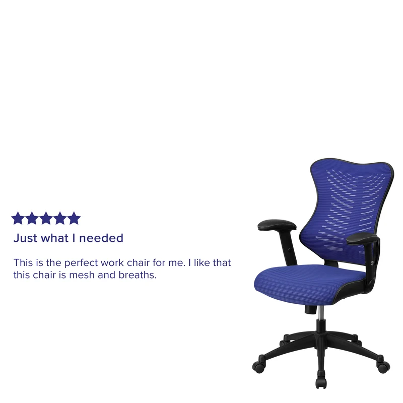 High Back Designer Mesh Executive Ergonomic Office Chair w/ Adjustable Arms