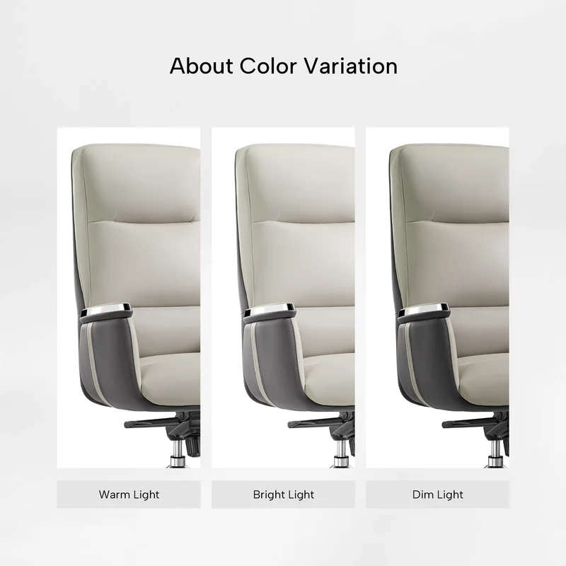 Royal II, Silicone & Leather Executive Ergonomic Office Chair