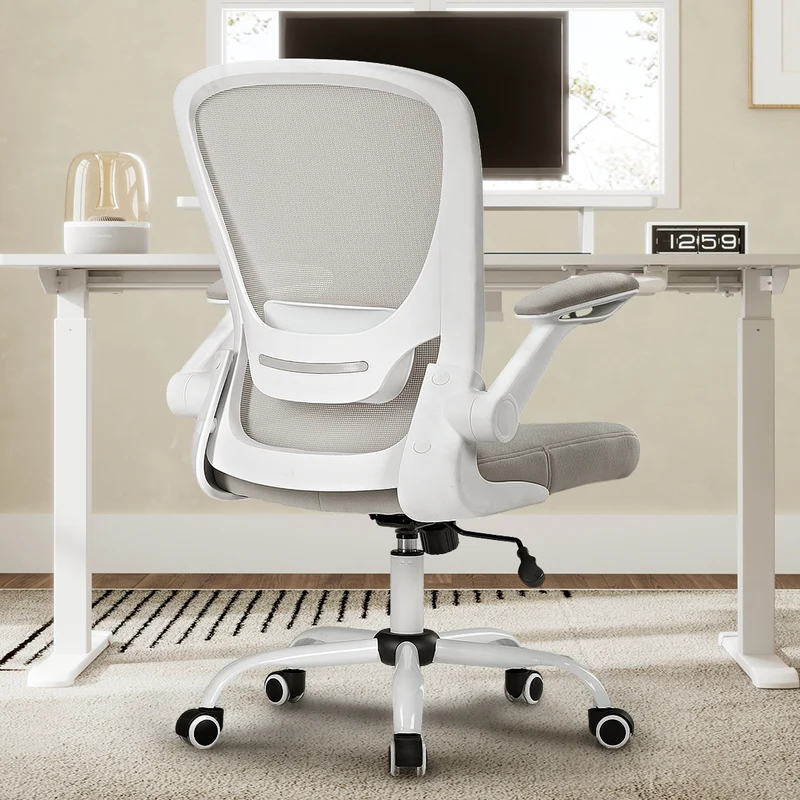 Onyx, Ergonomic Office Chair