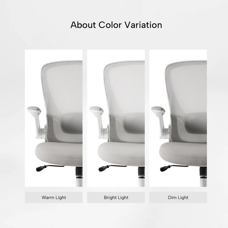 Onyx, Ergonomic Office Chair