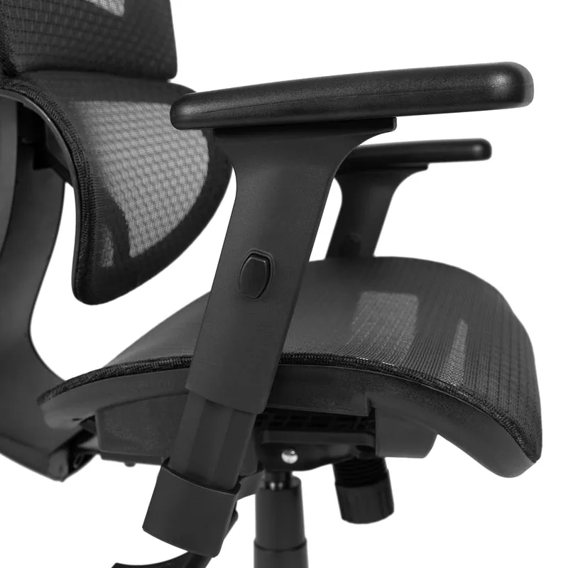 Ergonomic Mesh Office Chair-Synchro-Tilt, Headrest, Adjustable Pivot Arms