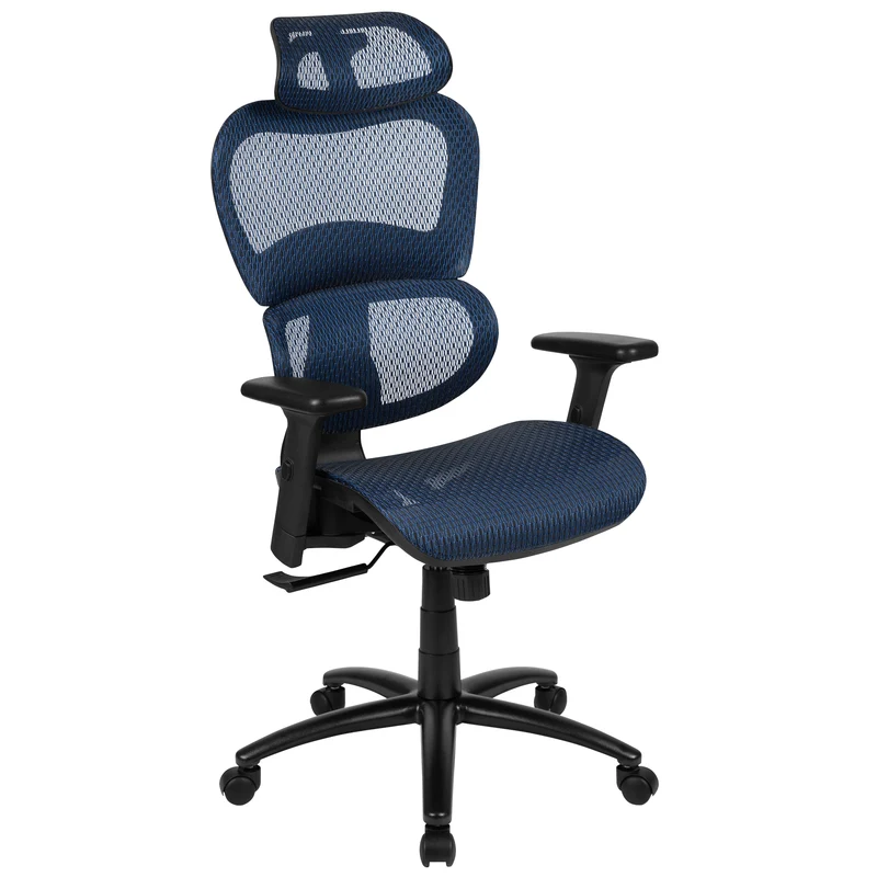 Ergonomic Mesh Office Chair-Synchro-Tilt, Headrest, Adjustable Pivot Arms