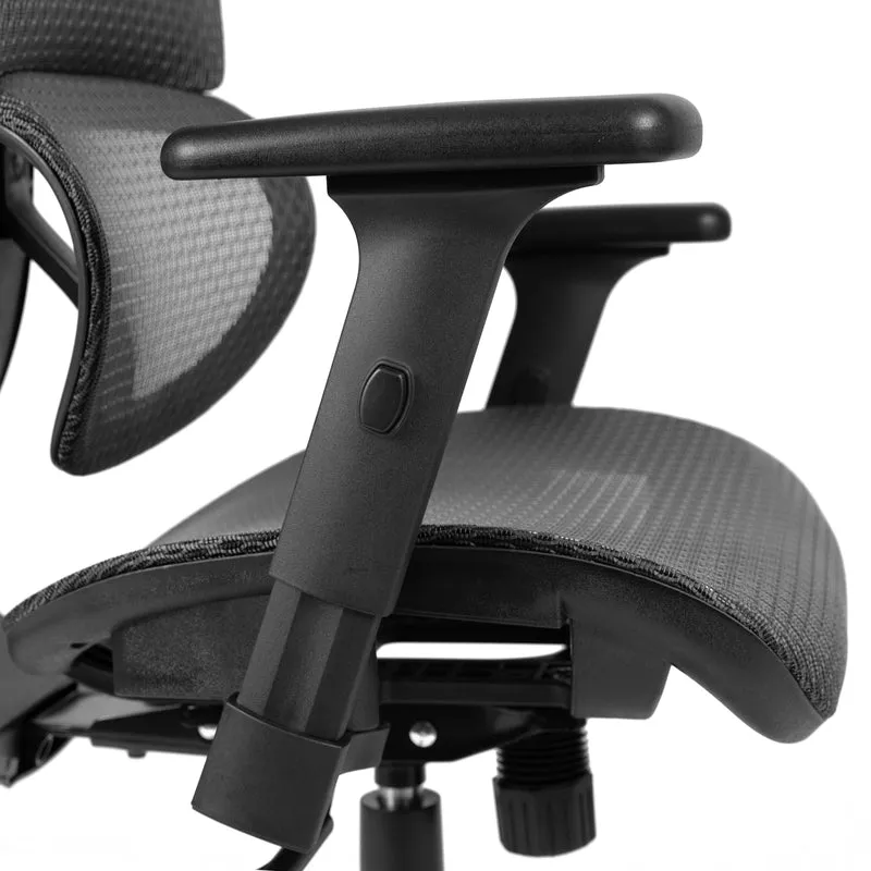Ergonomic Mesh Office Chair-Synchro-Tilt, Headrest, Adjustable Pivot Arms