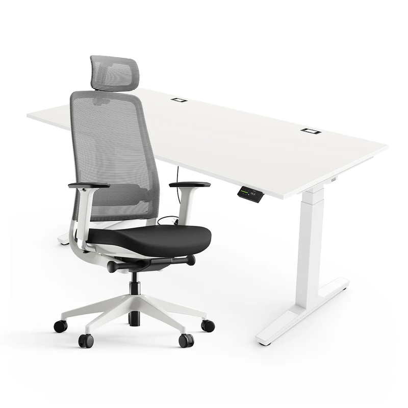 Expert Set: Desk & Chair Expert