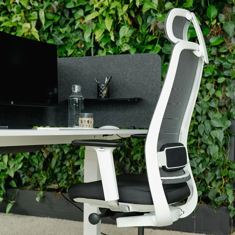 Chair Expert - Ergonomischer Bürostuhl
