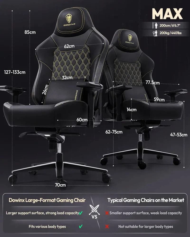Dowinx Titan Series LS-66D1A Black – 200kg Load Capacity