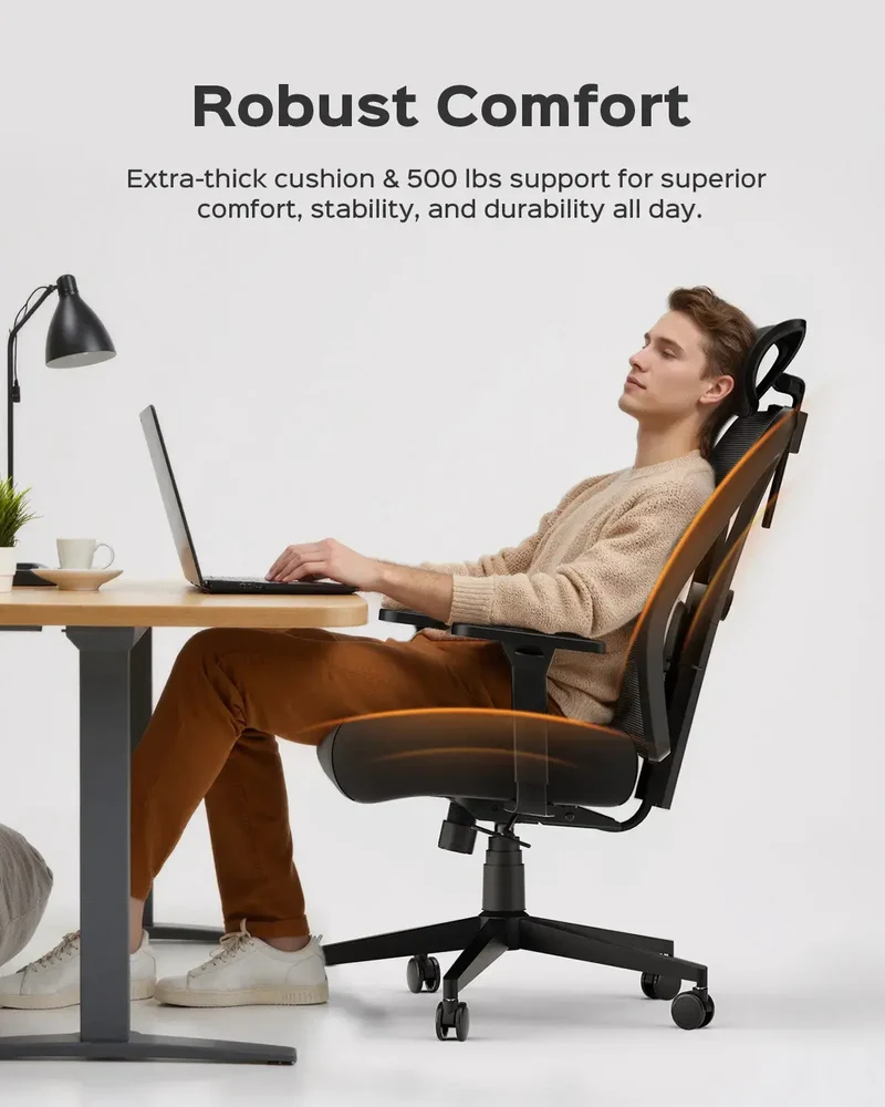 Dowinx Ergonomic Office Chair QL-66W4A Black