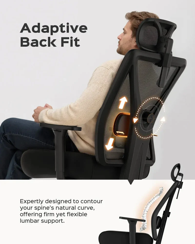 Dowinx Ergonomic Office Chair QL-66W4A Black