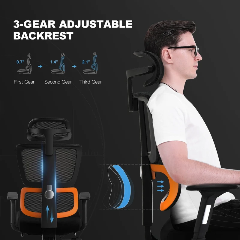 Mesh Series Ergo12
